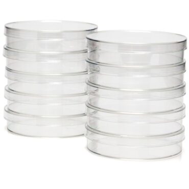 Petridish