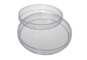 Petri-Dish